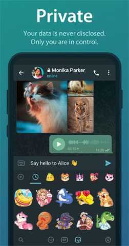 telegreat 12.0.1 官方版 2